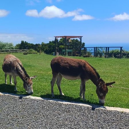 Casita - Cantinho Do Paraiso Вила-ду-Порту Экстерьер фото